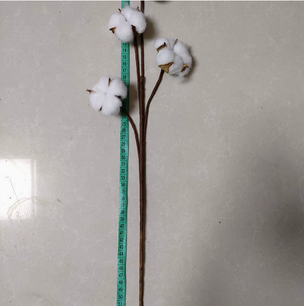 Artificial Cotton Stem for Decor